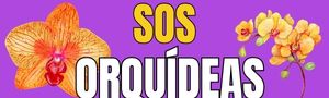 SOS ORQUIDEAS