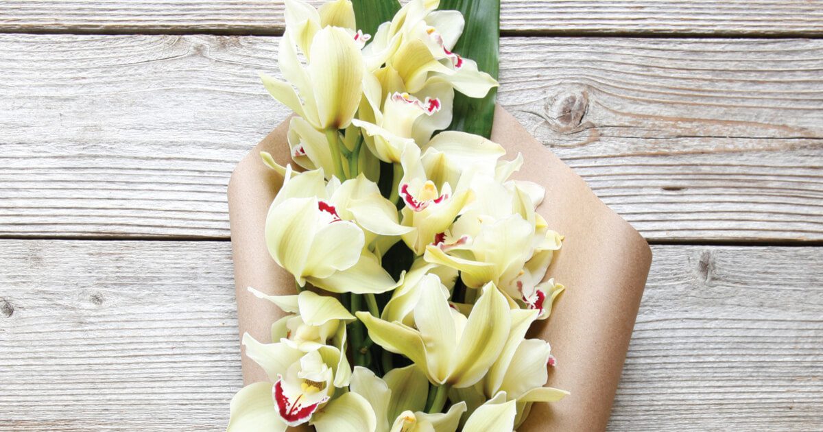 Orchid Cut Flower Care