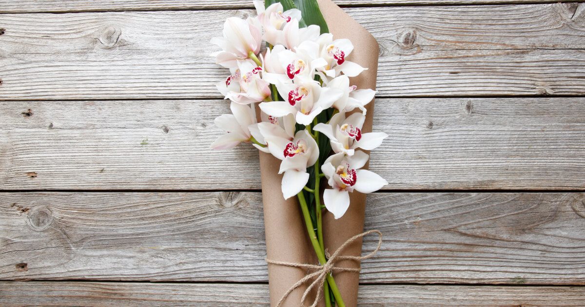 Orchid Color Meanings