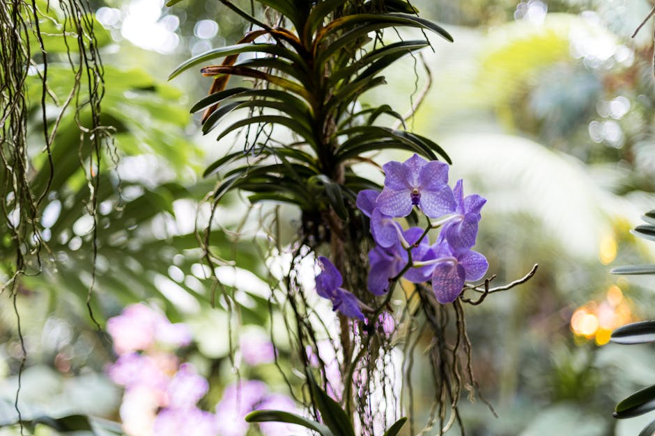 Vibrant purple orchids flourishing in a lush tropical environment, showcasing nature's beauty.
