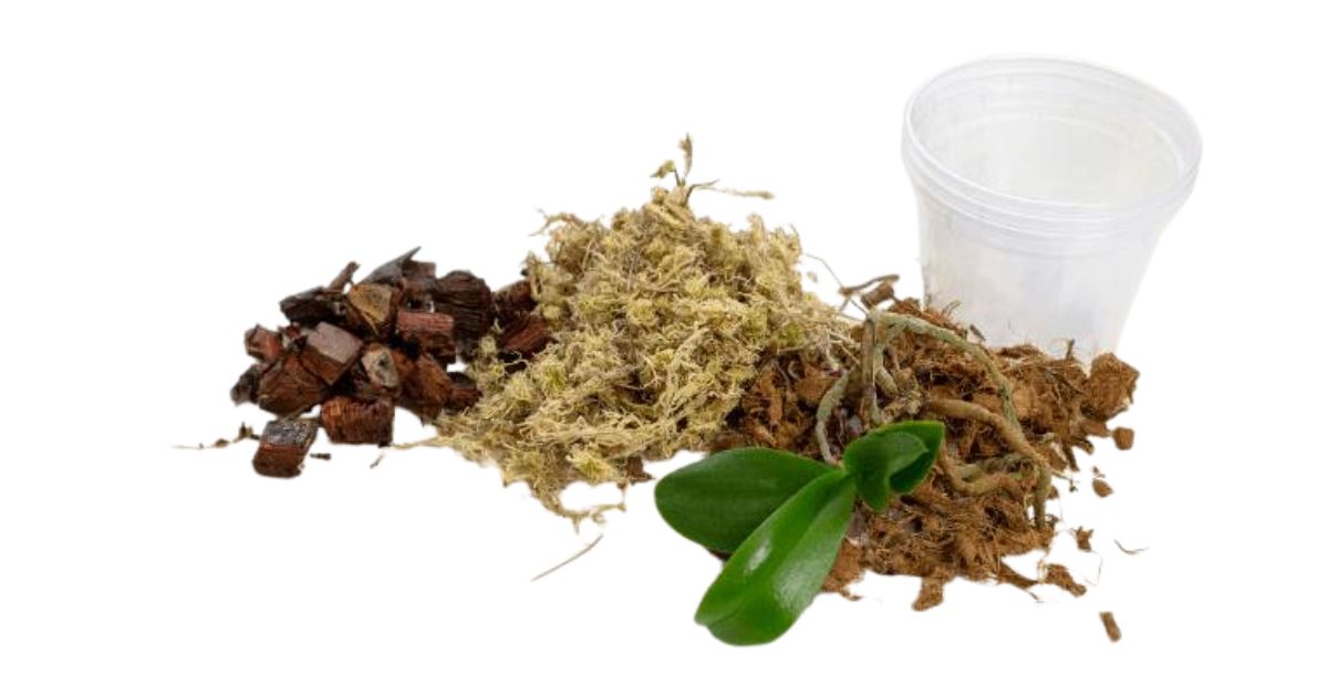substrato para orquídeas