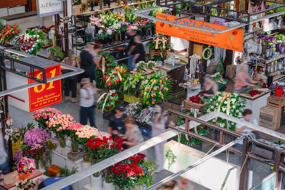 Onde Comprar Orquídeas