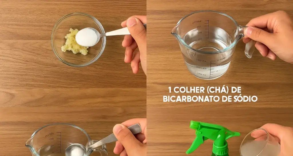 Receita infalível de inseticida natural elimina fungos no tomateiro em dias - Imagem do artigo original