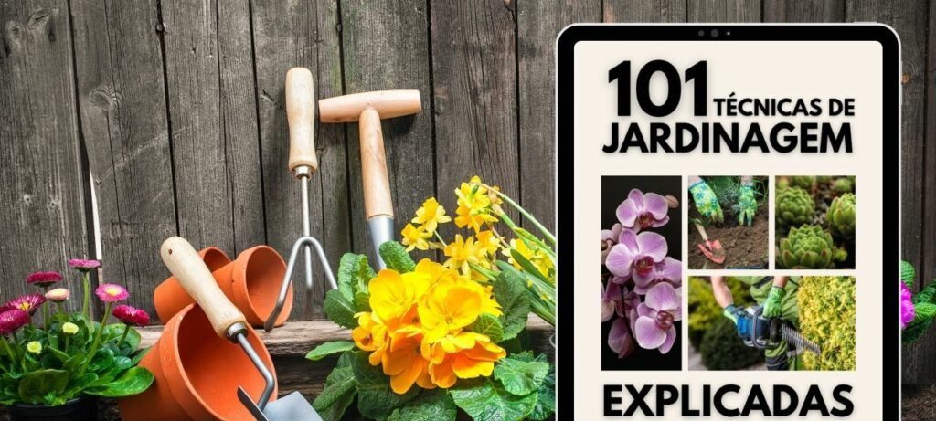 Pratinhos de Vasos: Guia Completo para Eliminar Focos de Dengue no Jardim - Imagem do artigo original