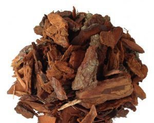 Descubra os 6 Segredos dos Substratos de Orquídeas para um Florescimento Impecável - Imagem do artigo