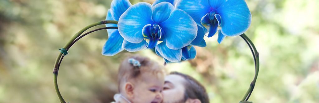 Orquídea Azul Sítio Kolibri: por que este presente acerta em qualquer ocasião - Imagem do artigo original